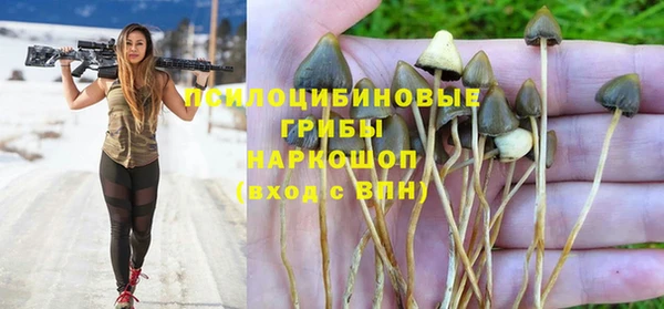 дурь Горняк